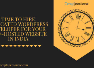 Time to Hire Expert WordPress Developers for Your Website